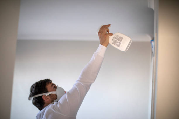 Best Black Mold Removal  in Weyers Cave, VA