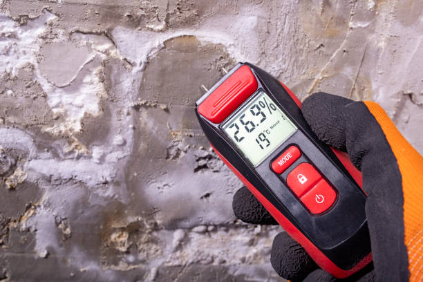 Best Commercial Mold Removal  in Weyers Cave, VA