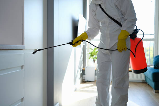 Professional Mold Removal in Weyers Cave, VA